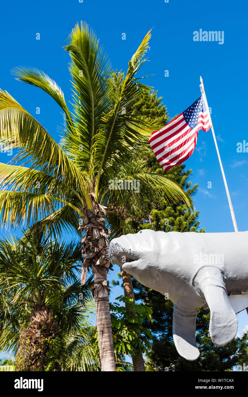 Typische Florida mit manatee Abbildung, Amerikanische Flagge und Palmen, Fort Myers Beach, Florida, USA Stockfoto