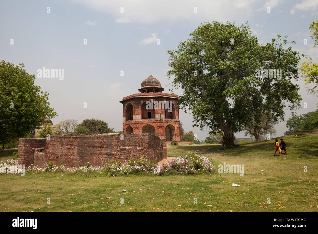 Grab in Lodi Garten in Delhi, Indien, Asien Stockfoto