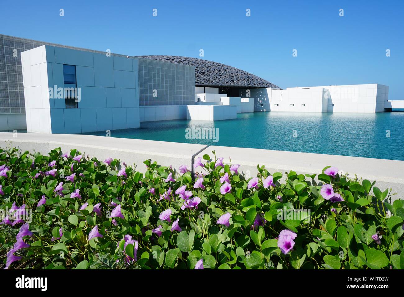 Louvre Museum, Blumen, Kunst, Saadiyat, Abu Dhabi, VAE, Vereinigte Arabische Emirate Stockfoto