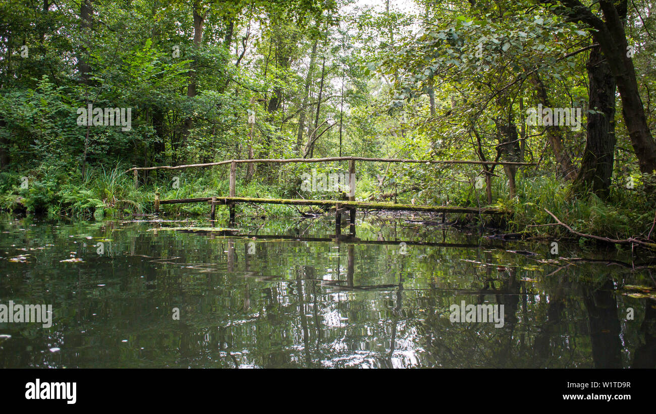 Biosphärenreservat Spreewald, Deutschland, Wandern, Kajakfahren, Erholungsgebiet, Familienurlaub, Familienausflug, Paddeln, Rudern, Wüste, Ausflug, Tag Stockfoto