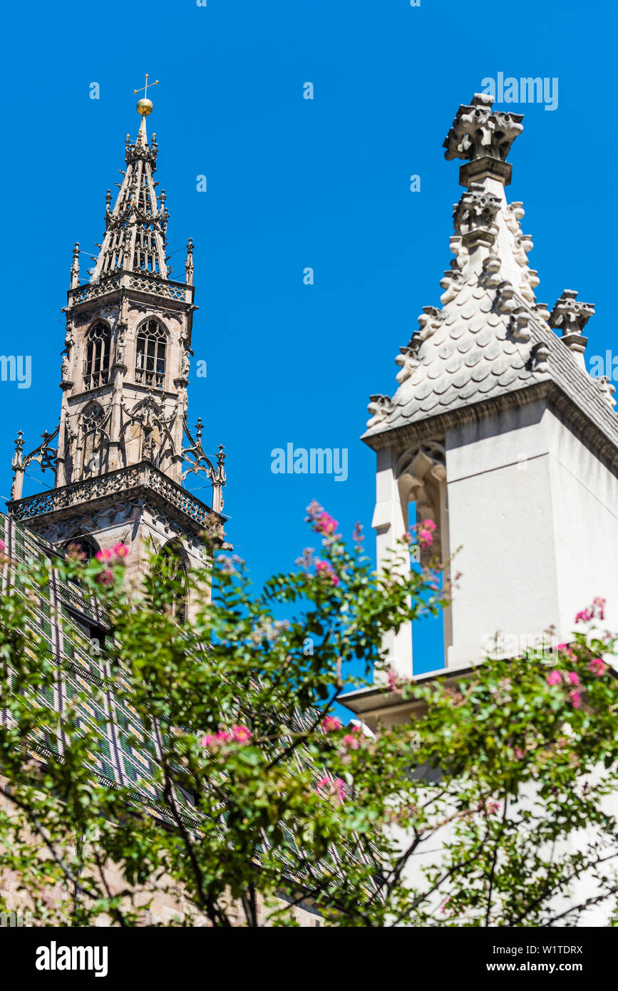 Die Kathedrale im Zentrum der Stadt, Bozen, Südtirol, Italien Stockfoto