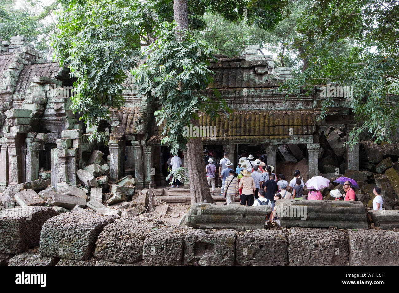 Massen von Touristen an den Ta Prohm Tempel, Angkor Wat, Sieam Reap, Kambodscha Stockfoto