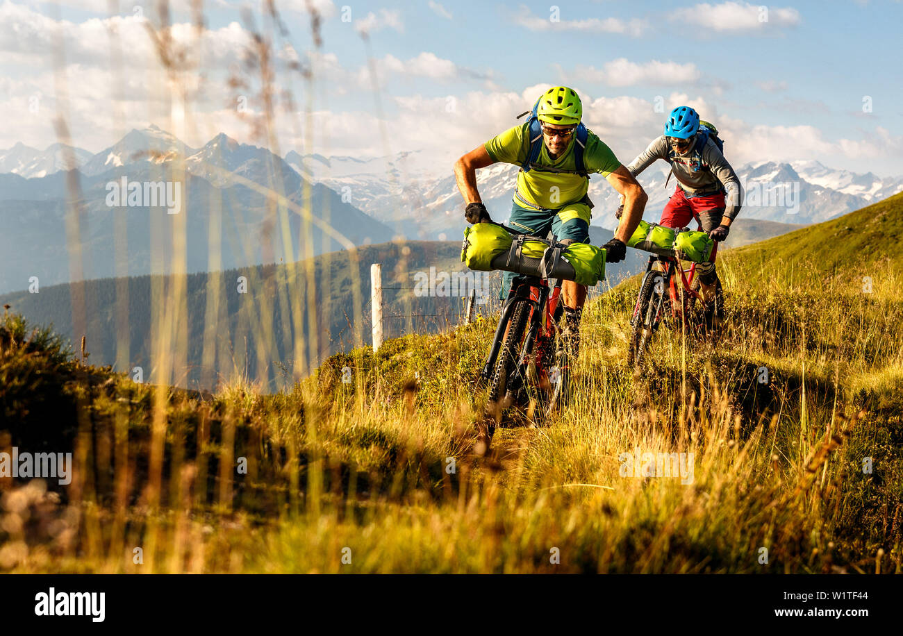 Zwei im mittleren Alter Mountainbiker sind, ihre Fahrräder auf einem Singletrail durch upgrown Gras, Berg Großvenediger im Hintergrund, Kirchberg, Tyr Stockfoto