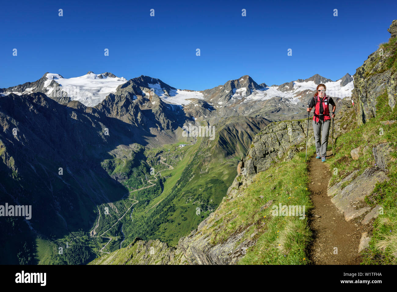 Frau wandern mit der Stubaier Alpen mit Wilder Pfaff und Zuckerhuetl im Hintergrund, Stubai highroute, Stubaier Alpen, Tirol, Österreich Stockfoto