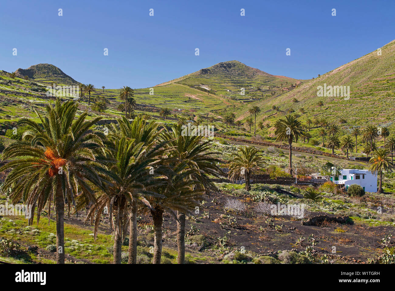 Finca in Haria, Lanzarote, Kanarische Inseln, Islas Canarias, Spanien, Europa Stockfoto