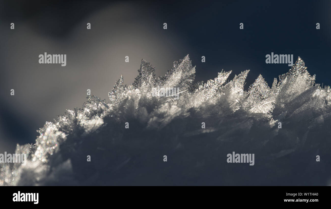 Deutschland, Bayern, Alpen, Oberallgaeu, Oberstdorf, Winterlandschaft, Winterurlaub, Nahaufnahme von Eiskristallen, Schnee, Frost Stockfoto