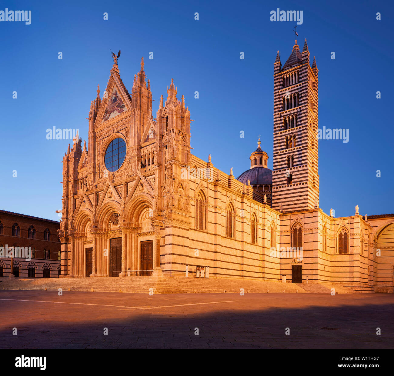 Dom Dom Santa Maria Assunta in Siena in der Blauen Stunde, Toskana, Italien Stockfoto
