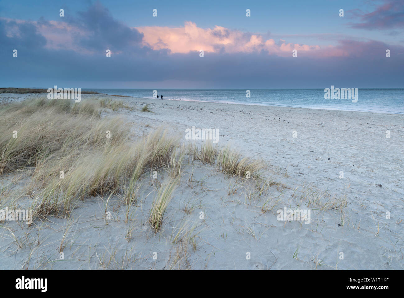 Düne, Strand, Sonnenuntergang, Schillig Wangerland, Nordsee, Friesland, Niedersachsen, Deutschland, Europa Stockfoto