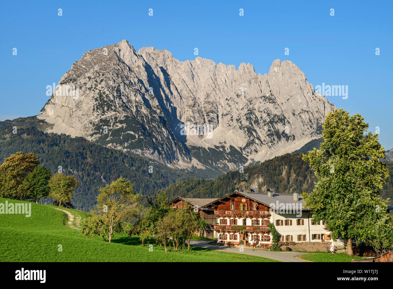 Bauernhof mit Wilder Kaiser im Hintergrund, hinter einem Berg, Wilder Kaiser, Kaisergebirge, Tirol, Österreich Stockfoto