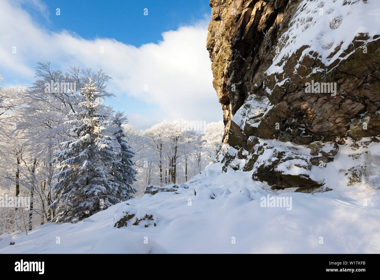 In Feldstein Rock Formation Rock "Bruchhauser Steine", in der Nähe von Olsberg, Rothaarsteig, Rothaargebirge, Sauerland,Rhine-Westpha Stockfoto