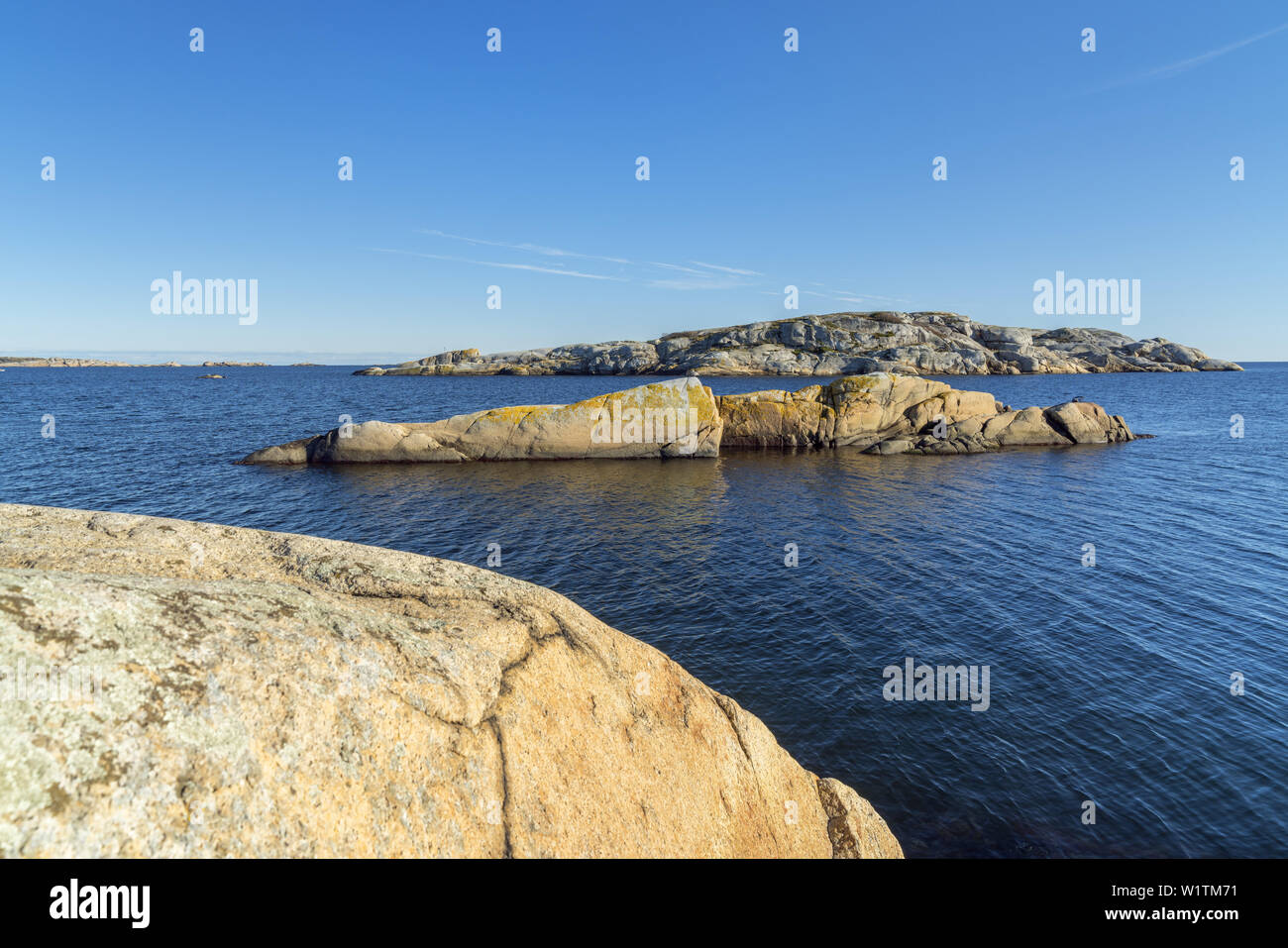 Ufer in Kjerringvik, Vestfold?, Østlandet, Südnorwegen, Norwegen, Skandinavien, Nordeuropa, Europa Stockfoto