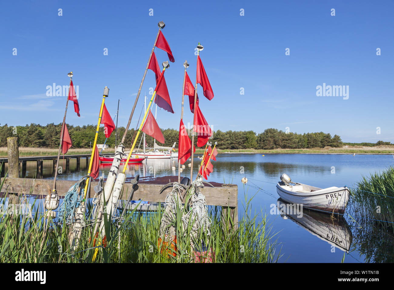 Hafen Darßer Ort, Ostseebad Prerow, Fischland-Darß-Zingst, Ostsee, Mecklenburg-Vorpommern, Norddeutschland, Deutschland, Eur Stockfoto