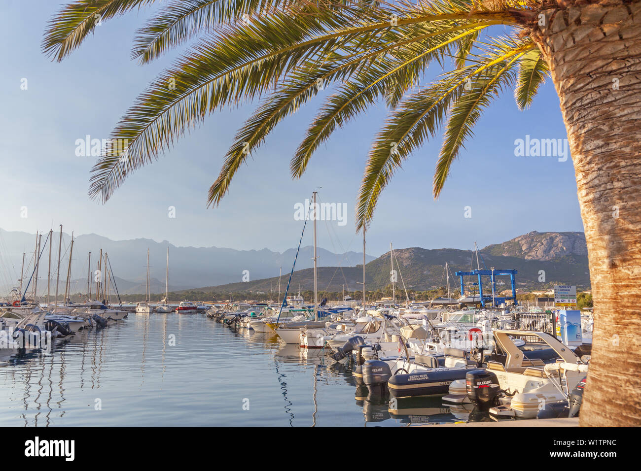 Hafen von Calvi, Korsika, Südfrankreich, Frankreich, Südeuropa Stockfoto