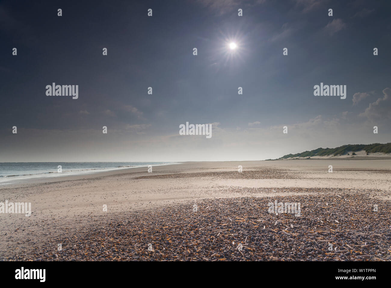 Strand, Sonne, Seashell, Morgen, Baltrum, Nordsee, Ostfriesische Inseln, Ostfriesland, Niedersachsen, Deutschland, Europa Stockfoto