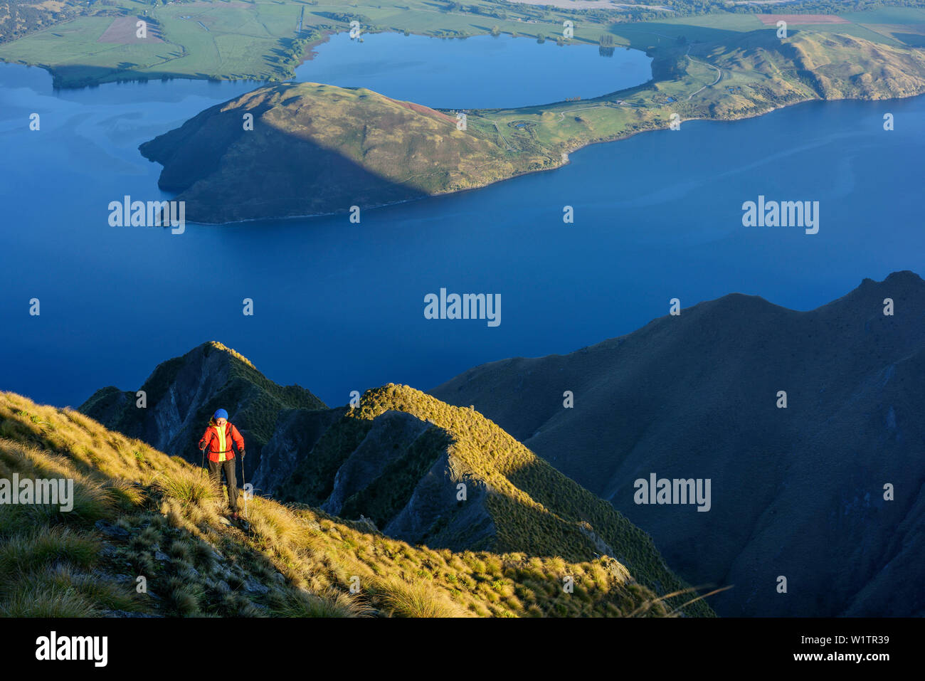 Frau wandern aufsteigender Richtung Roys Peak, Blick auf Lake Wanaka, von Roys Peak, Harris Mountains, Mount Aspiring Nationalpark, UNESCO Welterbe Te Wahi Stockfoto