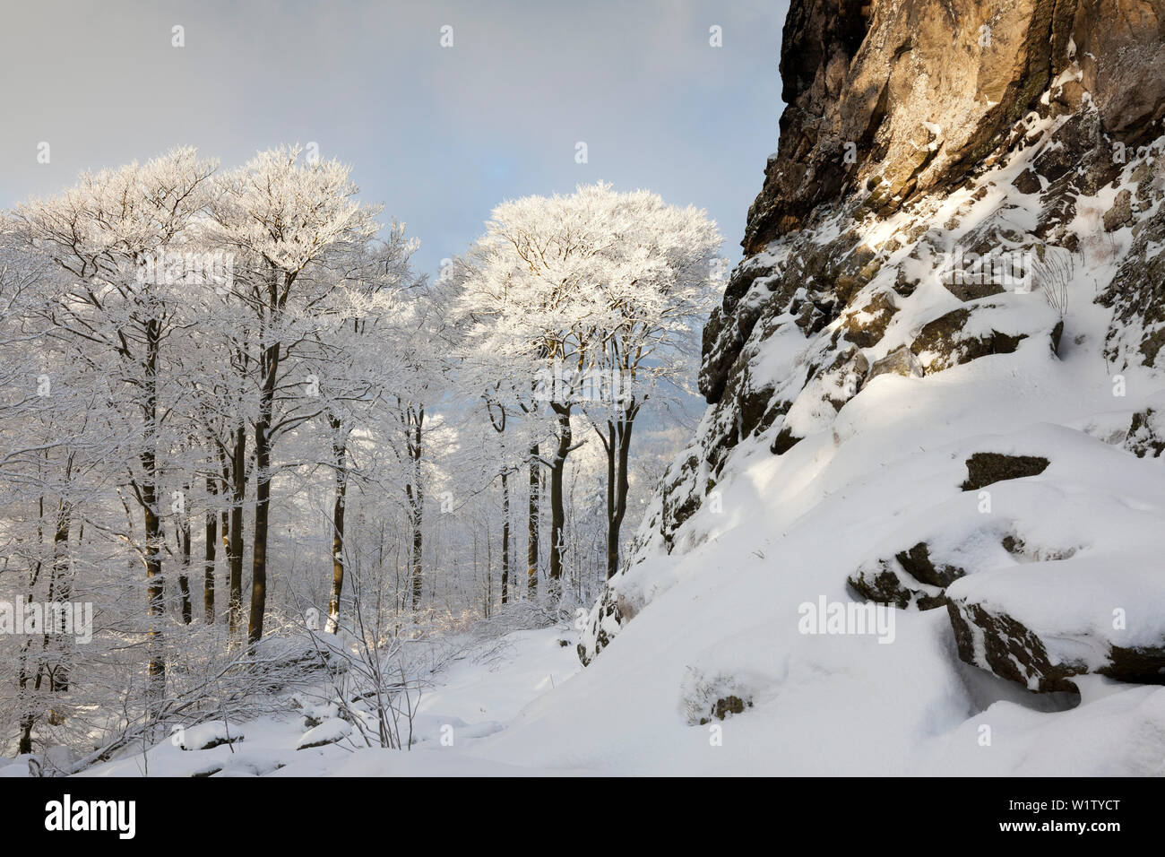 In Feldstein Rock Formation Rock "Bruchhauser Steine", in der Nähe von Olsberg, Rothaarsteig, Rothaargebirge, Sauerland,Rhine-Westpha Stockfoto