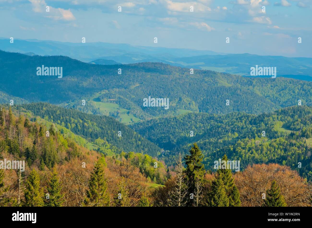 Schöner Frühling Berglandschaft. Bunte Tag auf den schönen Hügeln. Stockfoto