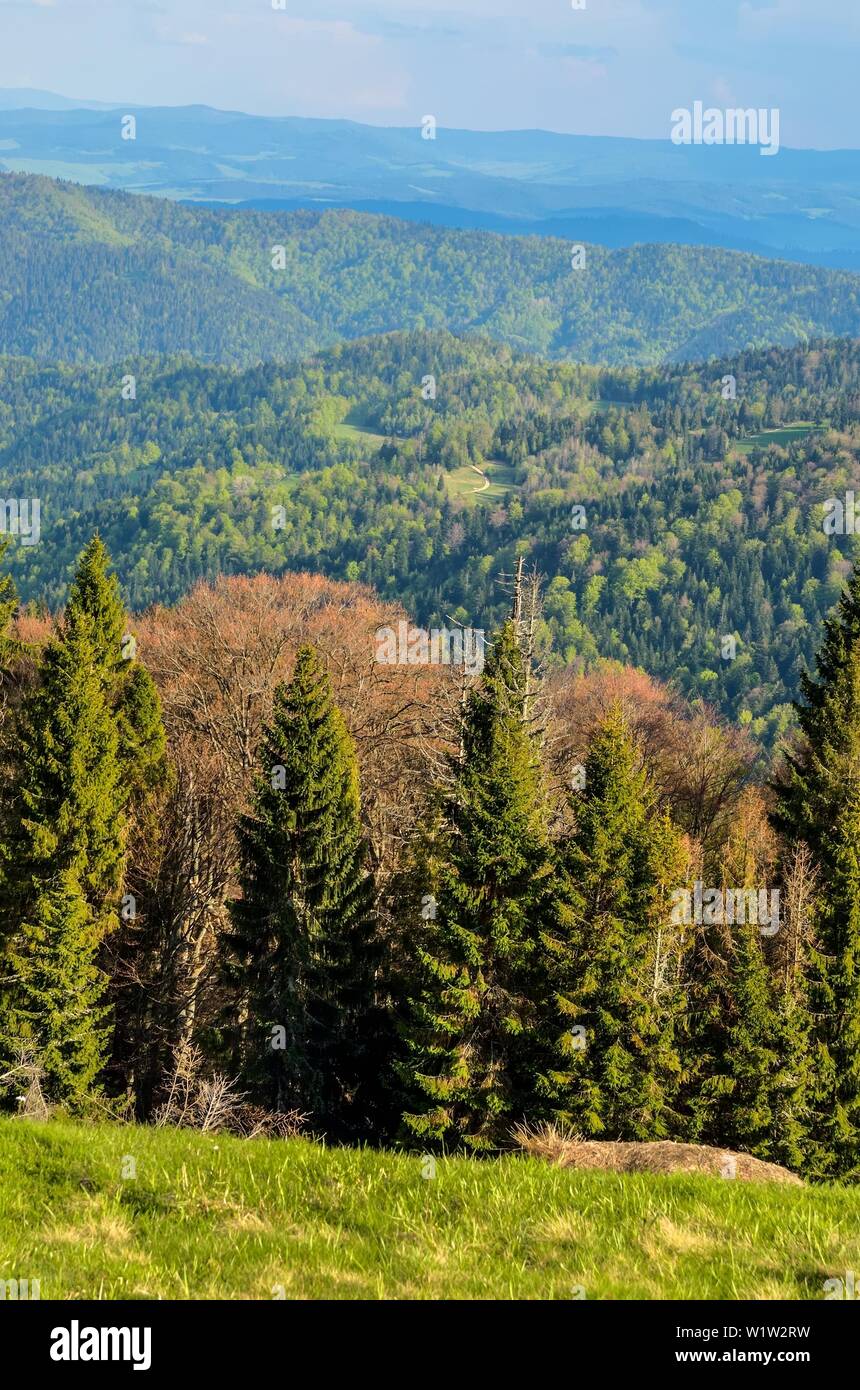 Schöner Frühling Berglandschaft. Bunte Tag auf den schönen Hügeln. Stockfoto