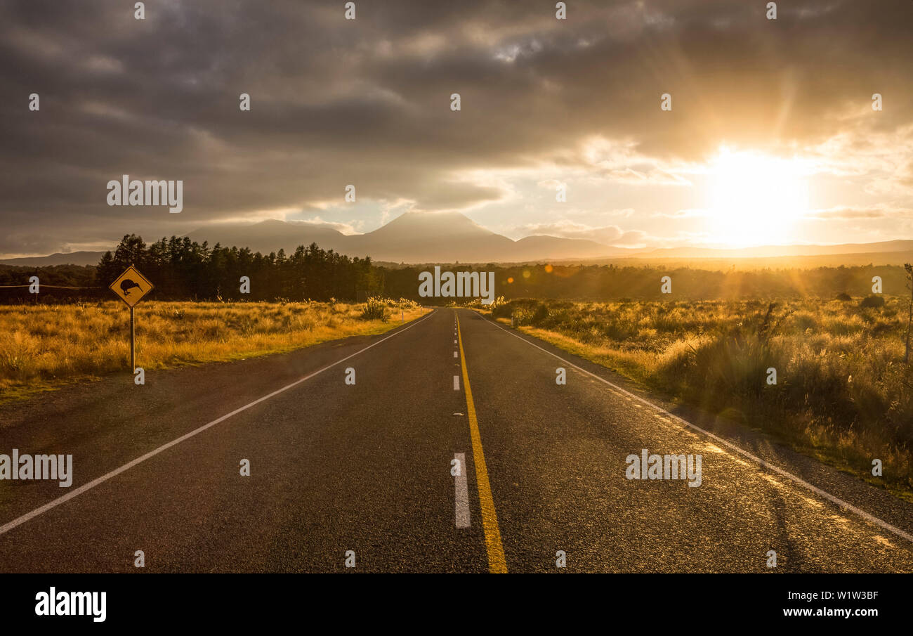 Ngauruhoe, Tongariro-National Park, Manawatu-Wanganui, North Island, Neuseeland, Ozeanien Stockfoto