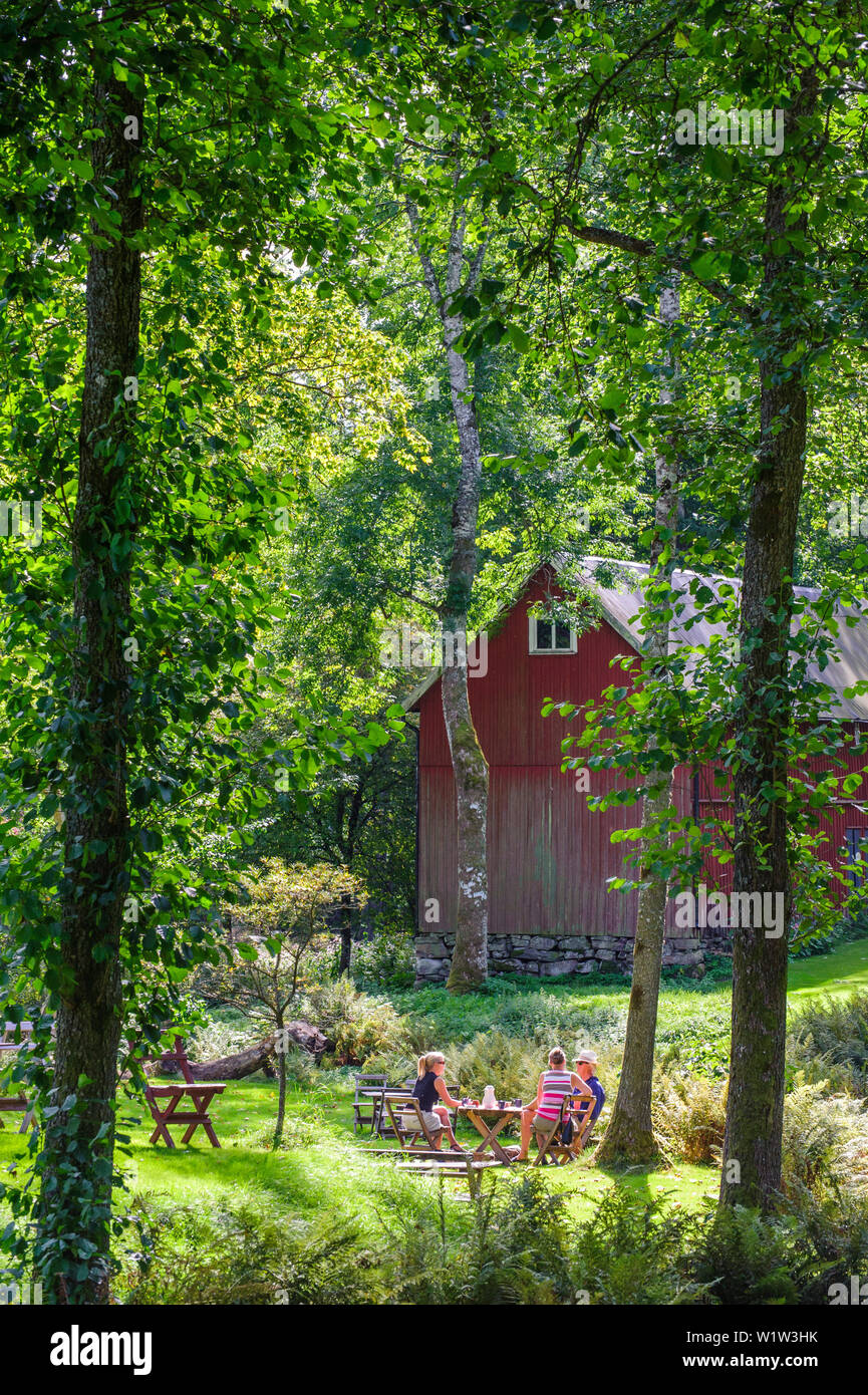 Bei schaffsfarm Oestroeoe, Schweden Stockfoto