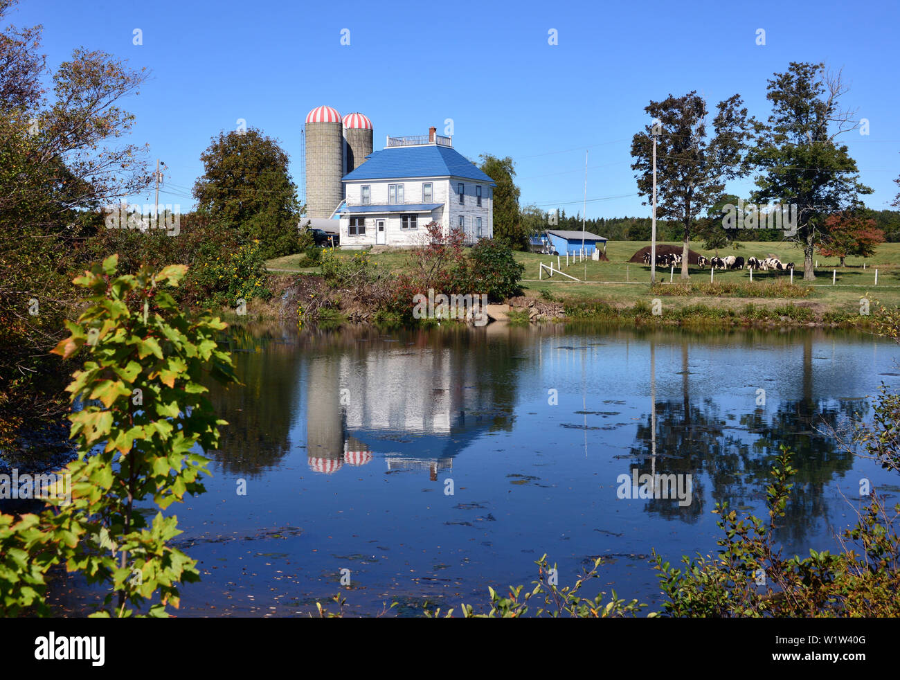 In der Nähe von Lunenburg, Nova Scotia, Kanada Stockfoto