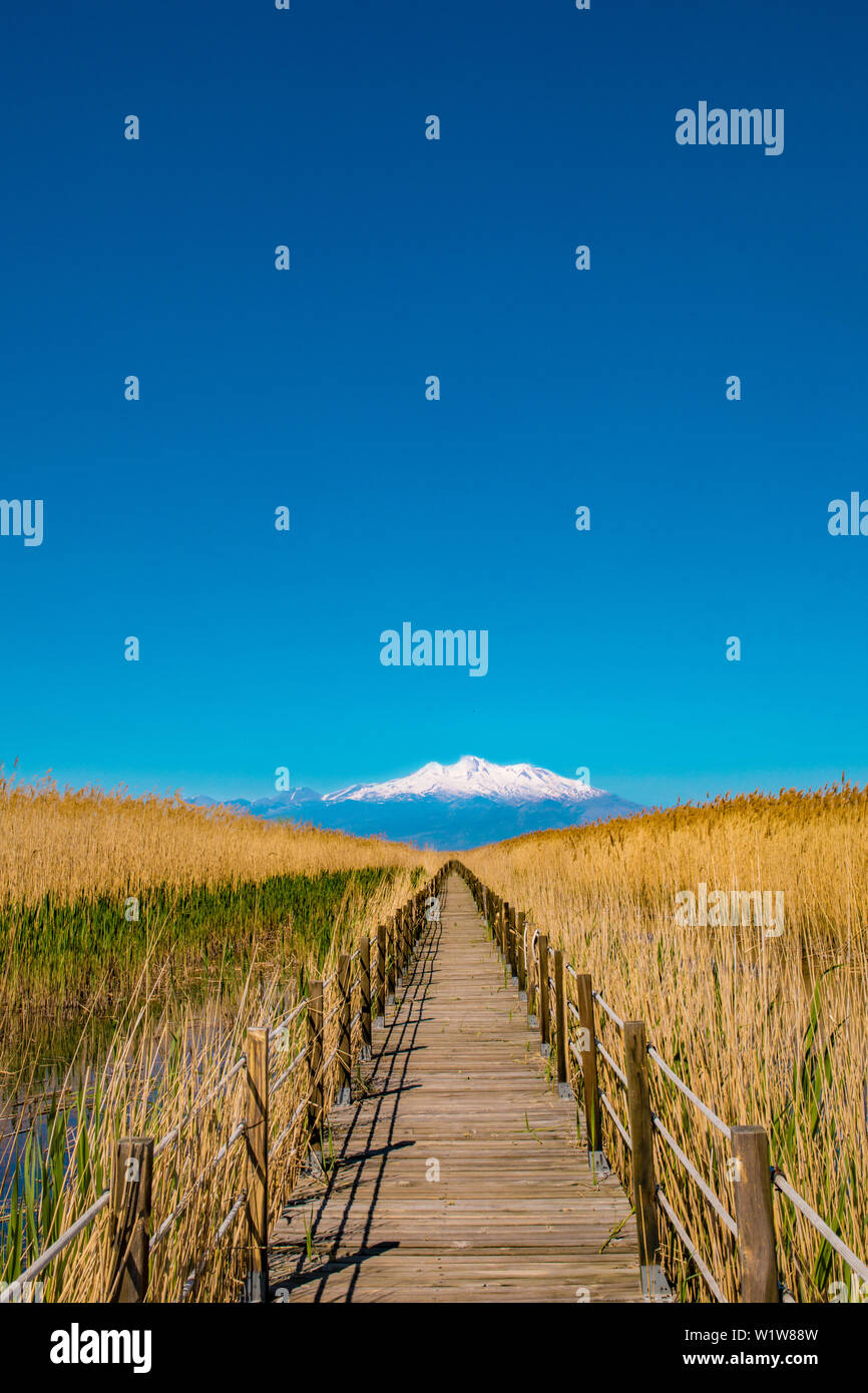 Holzbrücke Gehweg Pfad auf Sümpfen und Schilf vor Berg. Dies ist von Sultan Sazligi und Erciyes Berg in Kayseri in der Türkei. Stockfoto
