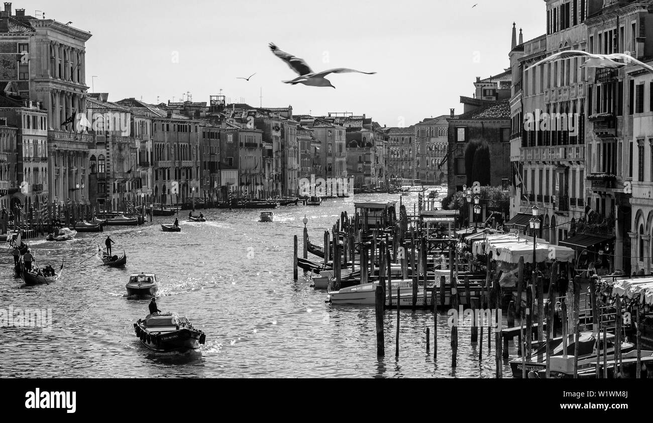 Grand Canal mit gondols, Venezia, Italia. Stockfoto