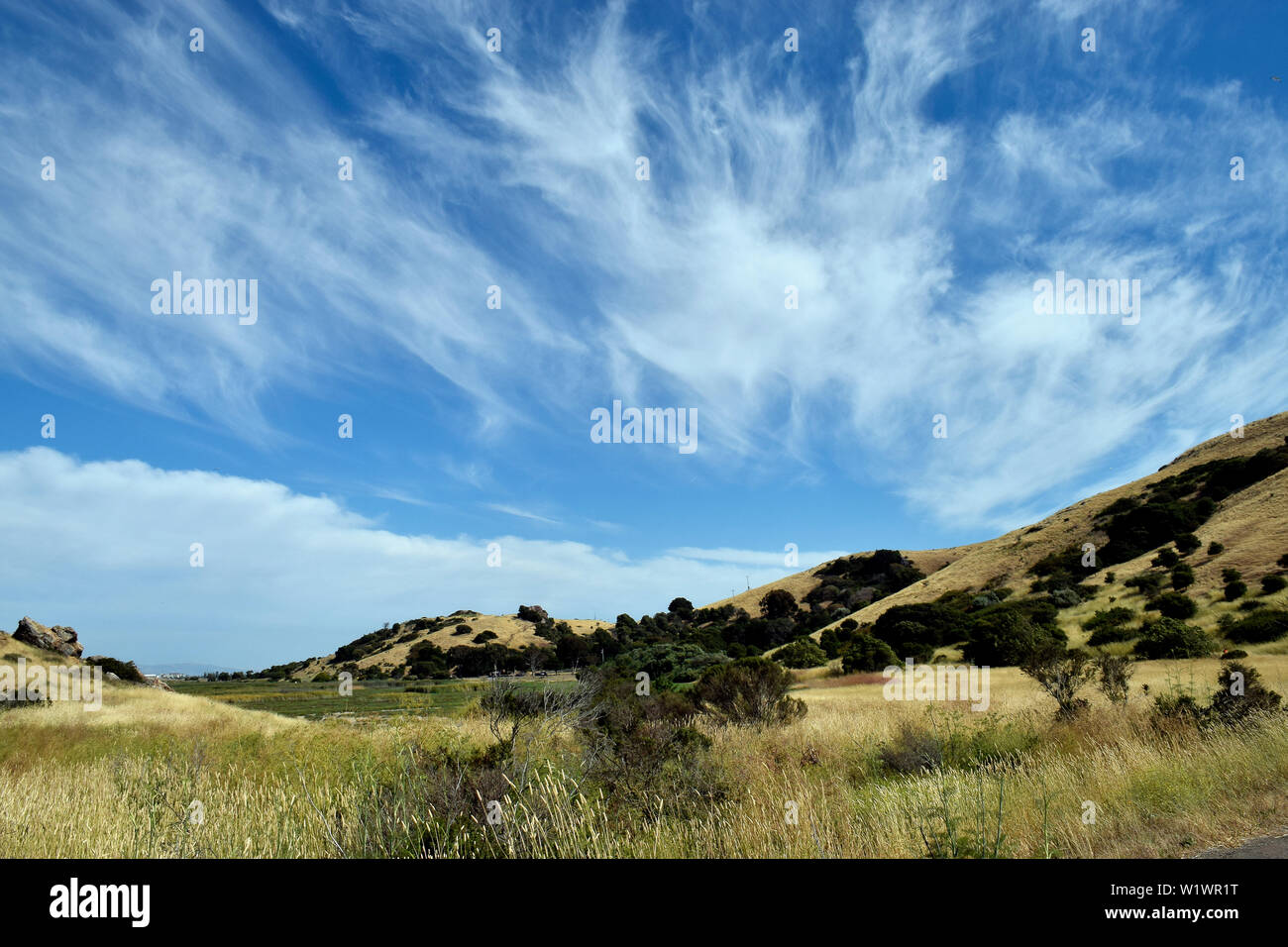 Coyote Hills Regional Park Kalifornien Anfang Sommer Stockfotografie Alamy