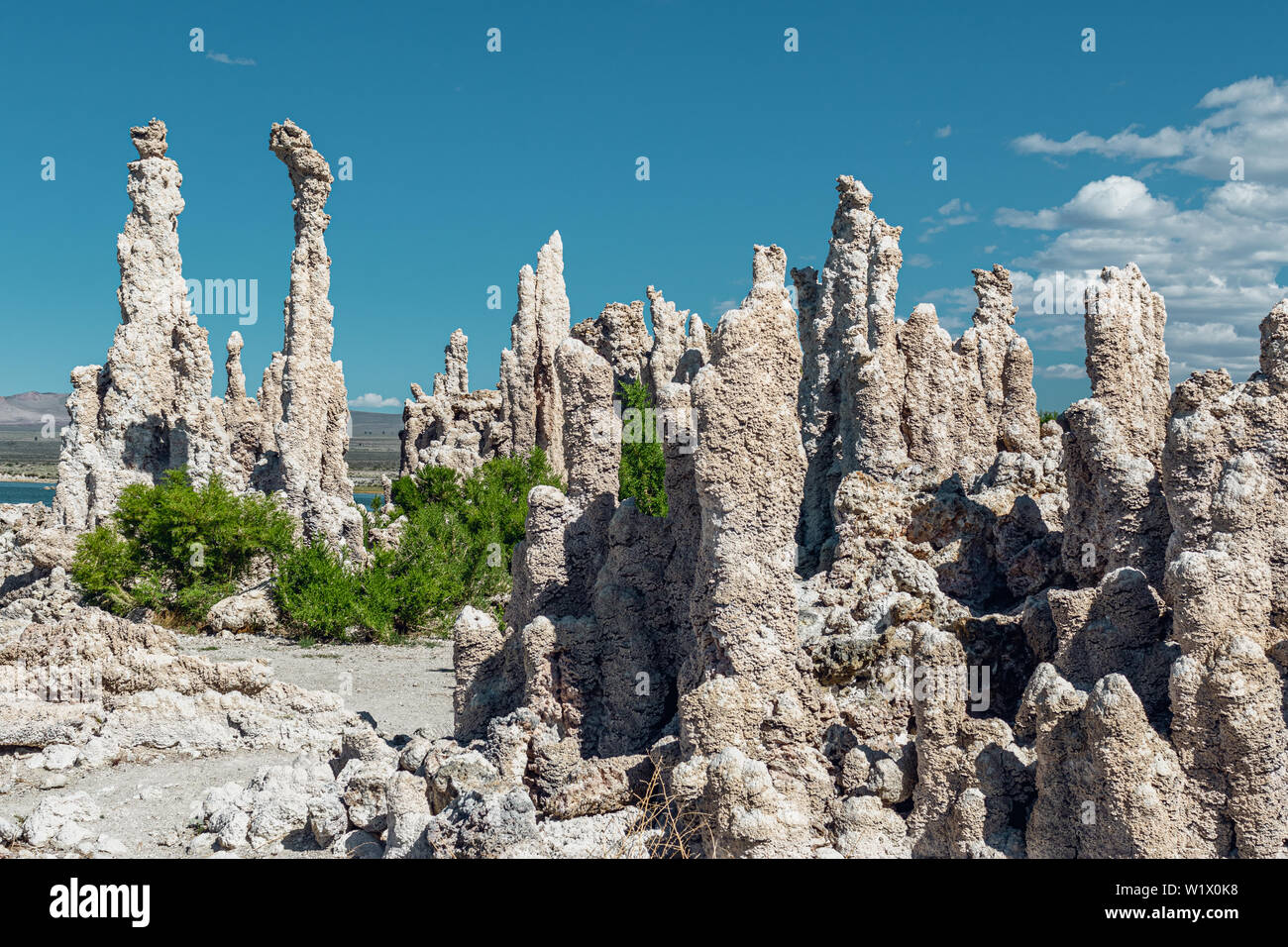 Mono Lake Tuffstein State Natural Reserve, Kalifornien. Tuffstein Türme, Türme Calcium-Carbonate und Knöpfe Stockfoto