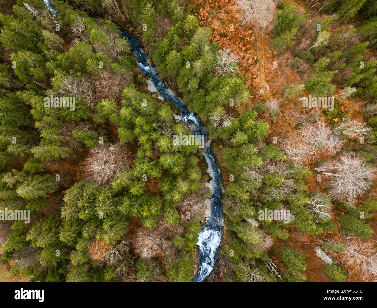 Wasserfall Obernachkanal, Mischwald mit Mountain River im Herbst von oben, Drone, Bird's Eye View, Oberbayern, Bayern, Deutschland Stockfoto