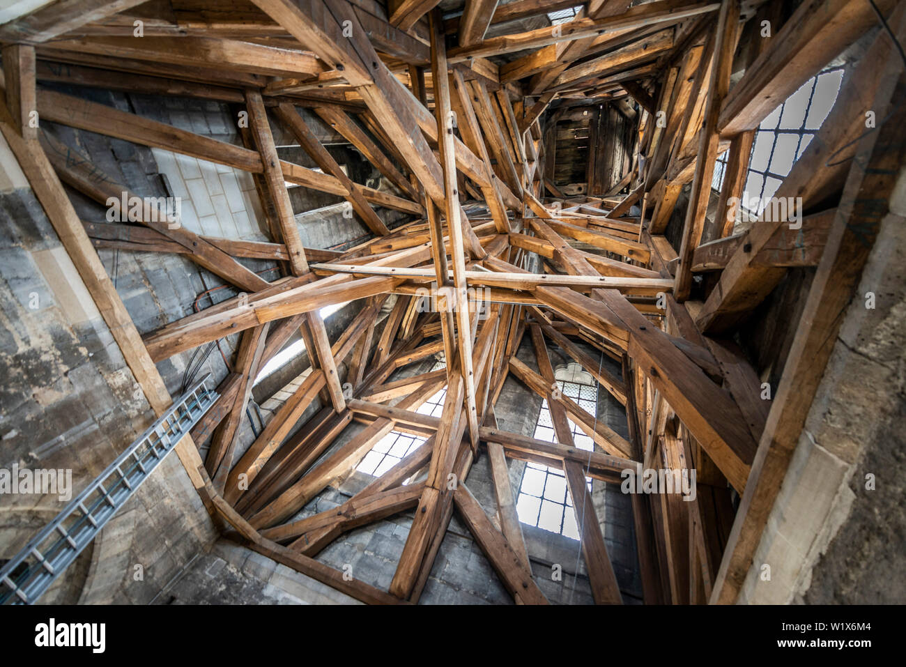 Paris (Frankreich): die Kathedrale Notre-Dame. Struktur der Nordturm (Norden Wachturm) Stockfoto