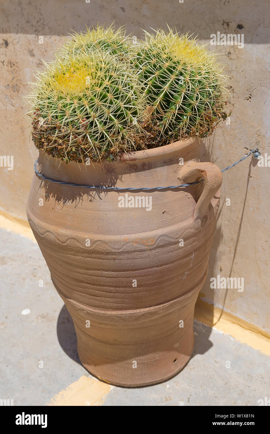 kunstpflanze groß wohnzimmer Kunstpflanze Polysicas Fabian – 55 cm
