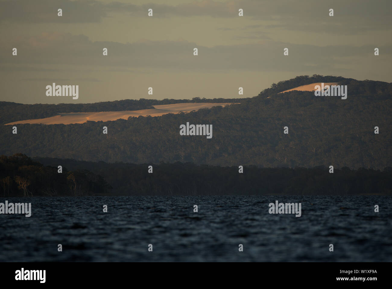 Cooloola Sandblow bei Sonnenaufgang von boreen Point, Queensland gesehen. Stockfoto