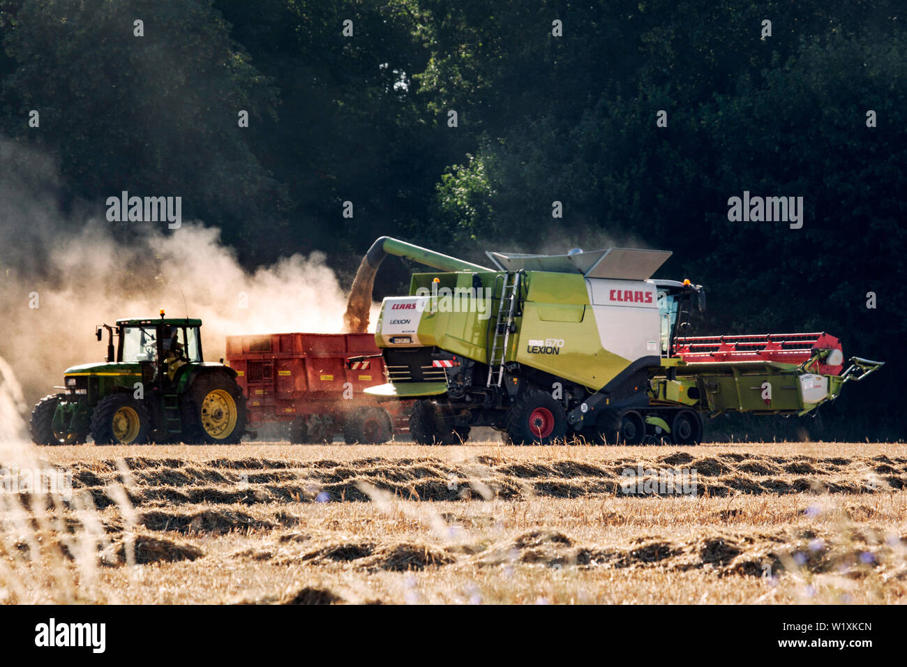 Mähdrescher bei der Ernte Stockfoto