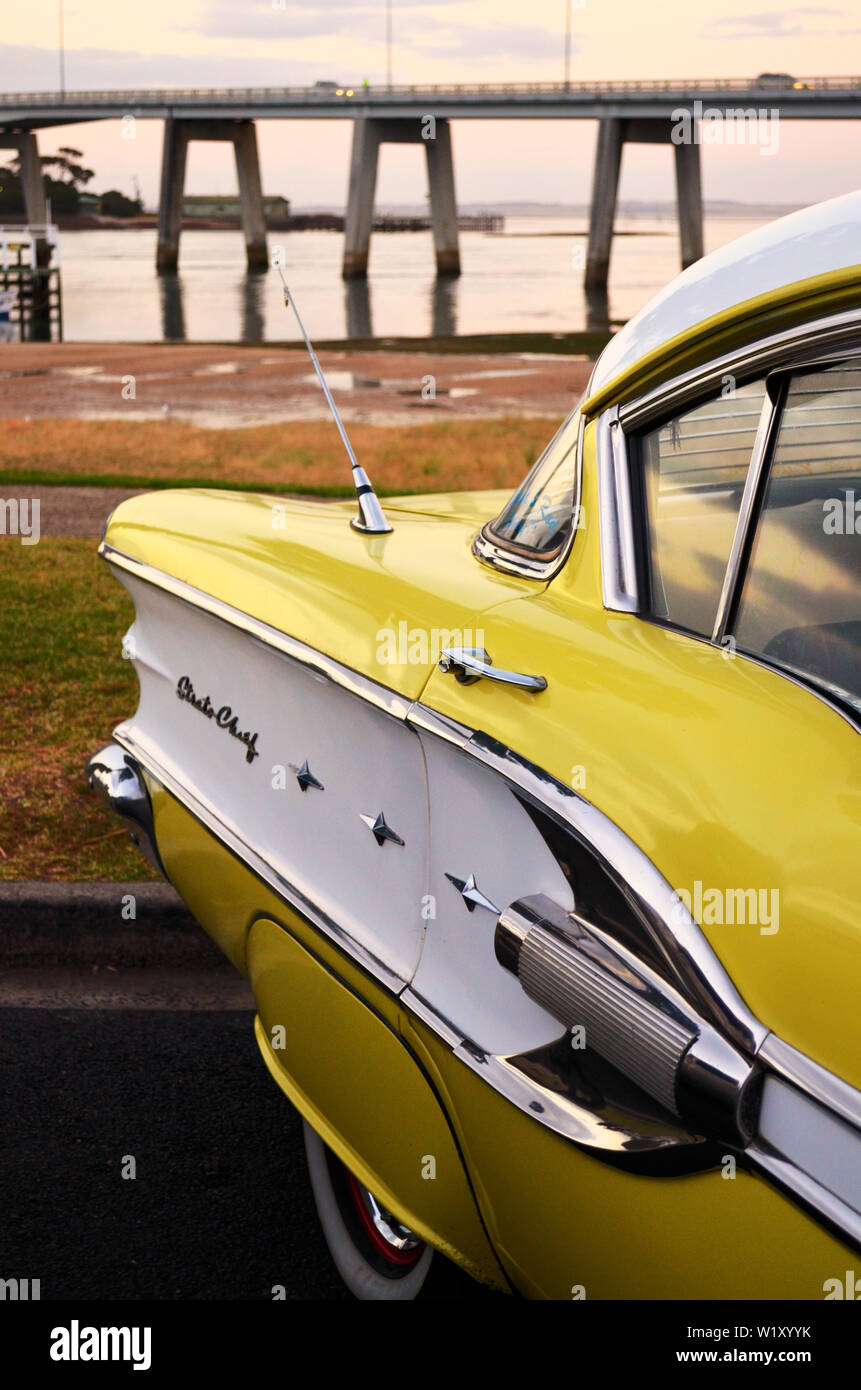 Dandenong Ranges National Park Olinda Victoria - Pflanzen und Blumen Stockfoto