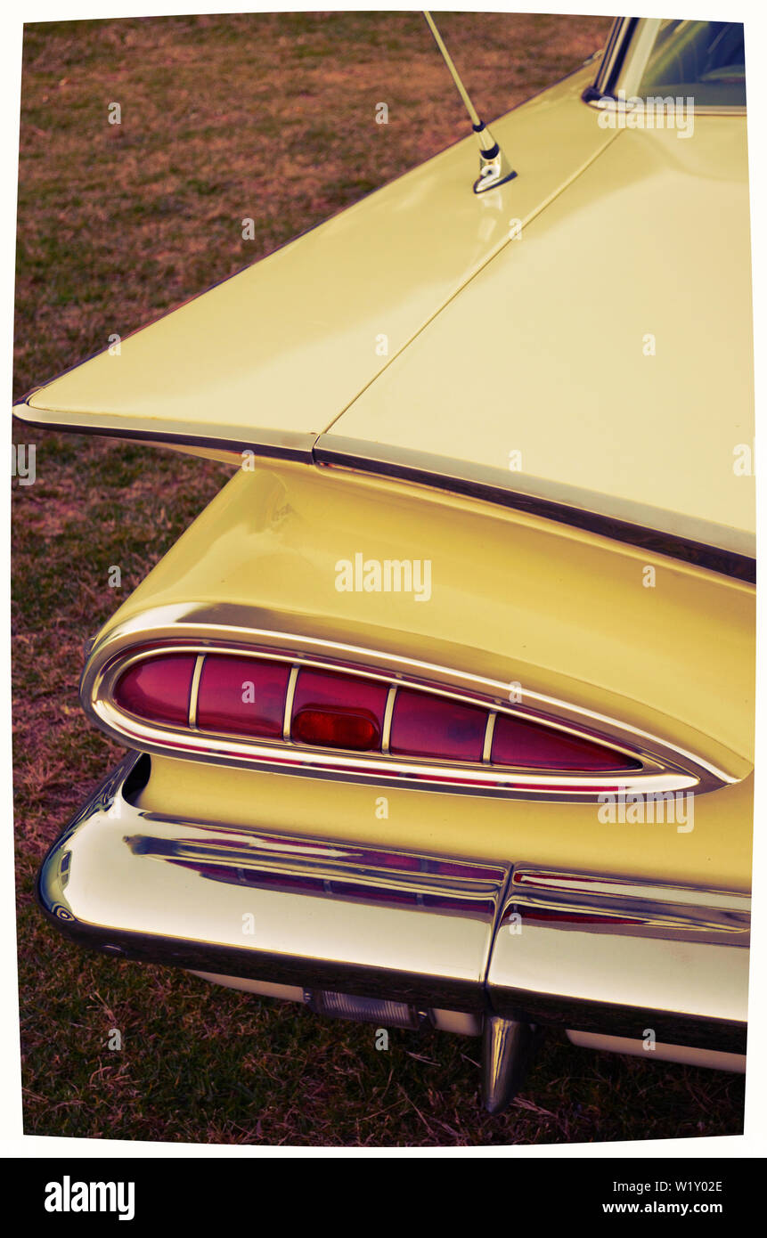 Dandenong Ranges National Park Olinda Victoria - Pflanzen und Blumen Stockfoto