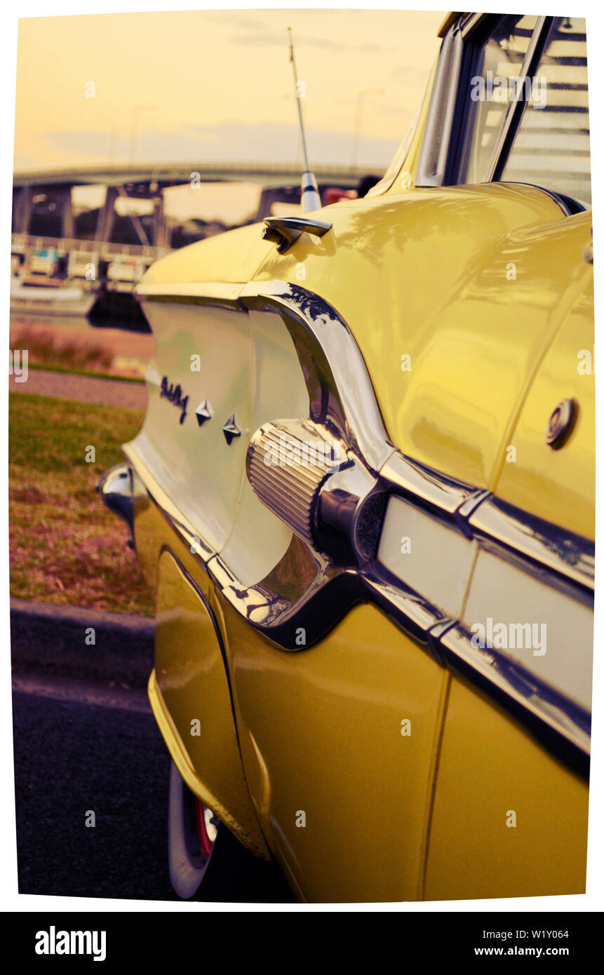 Dandenong Ranges National Park Olinda Victoria - Pflanzen und Blumen Stockfoto