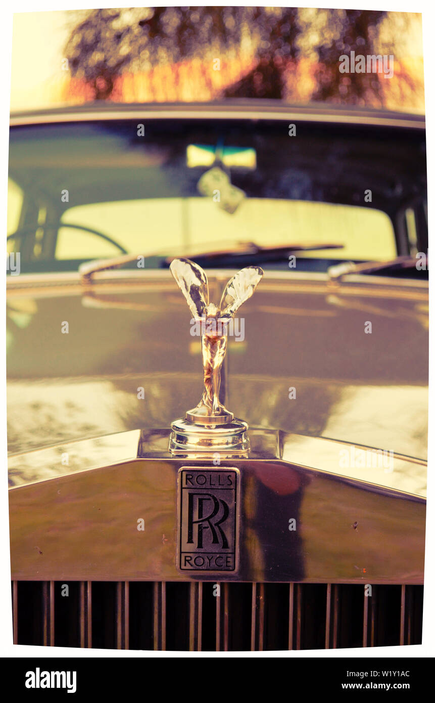 Dandenong Ranges National Park Olinda Victoria - Pflanzen und Blumen Stockfoto