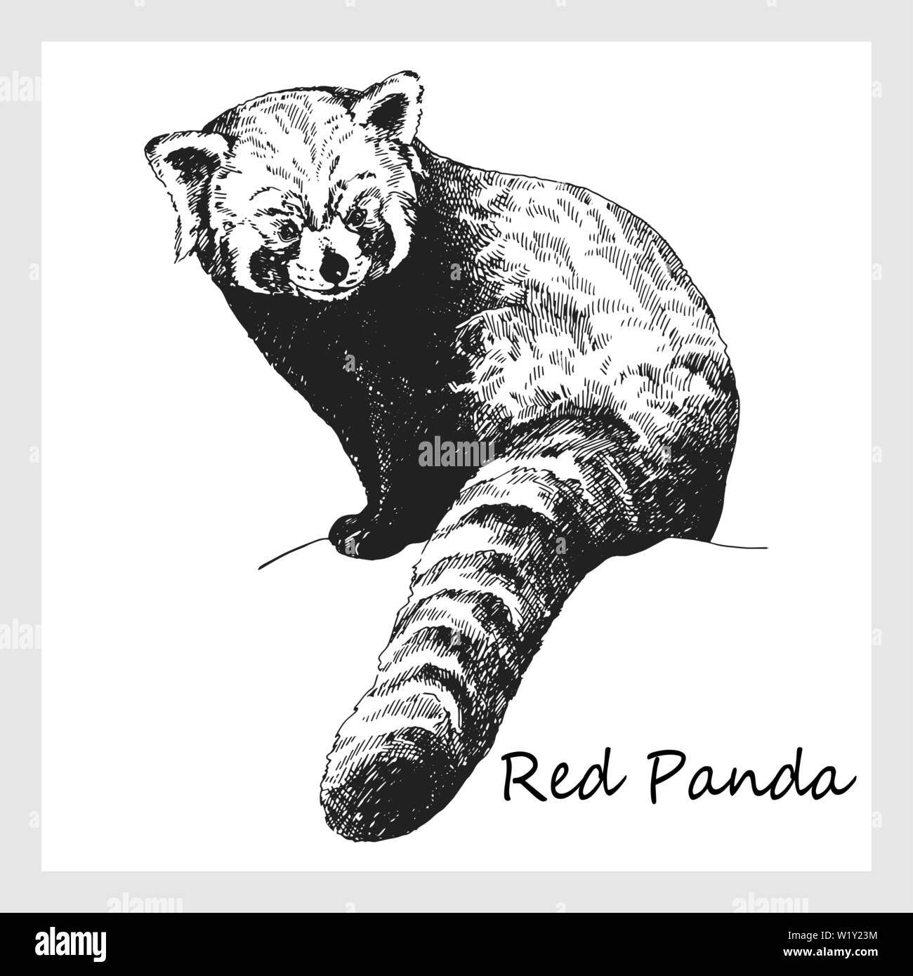 Stoffbild mit Posterleisten - Roter Panda in Schwarz-weiß