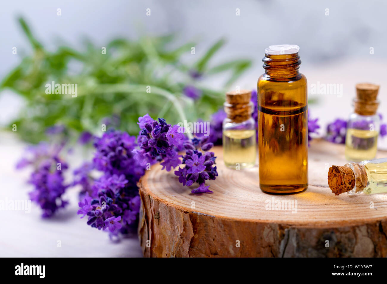 Pflanzliche ätherische Öl Flaschen und frische Lavendelblüten Stockfoto