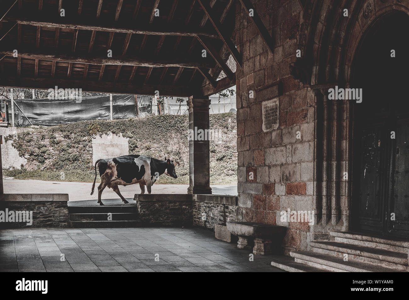 Castroverde Kirche auf dem Weg nach Santiago, Lugo, Galizien, Spanien Stockfoto Castroverde Kirche auf dem Weg nach Santiago, Lugo, Galizien, Spanien Stockfoto