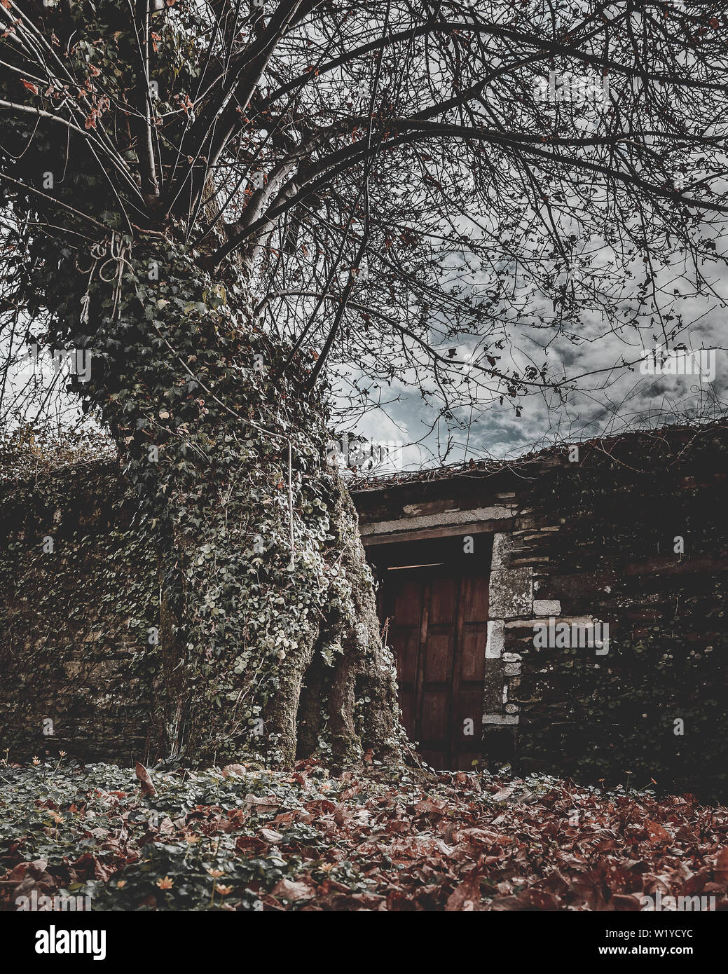 Castroverde Kirche auf dem Weg nach Santiago, Lugo, Galizien, Spanien Stockfoto Castroverde Kirche auf dem Weg nach Santiago, Lugo, Galizien, Spanien Stockfoto