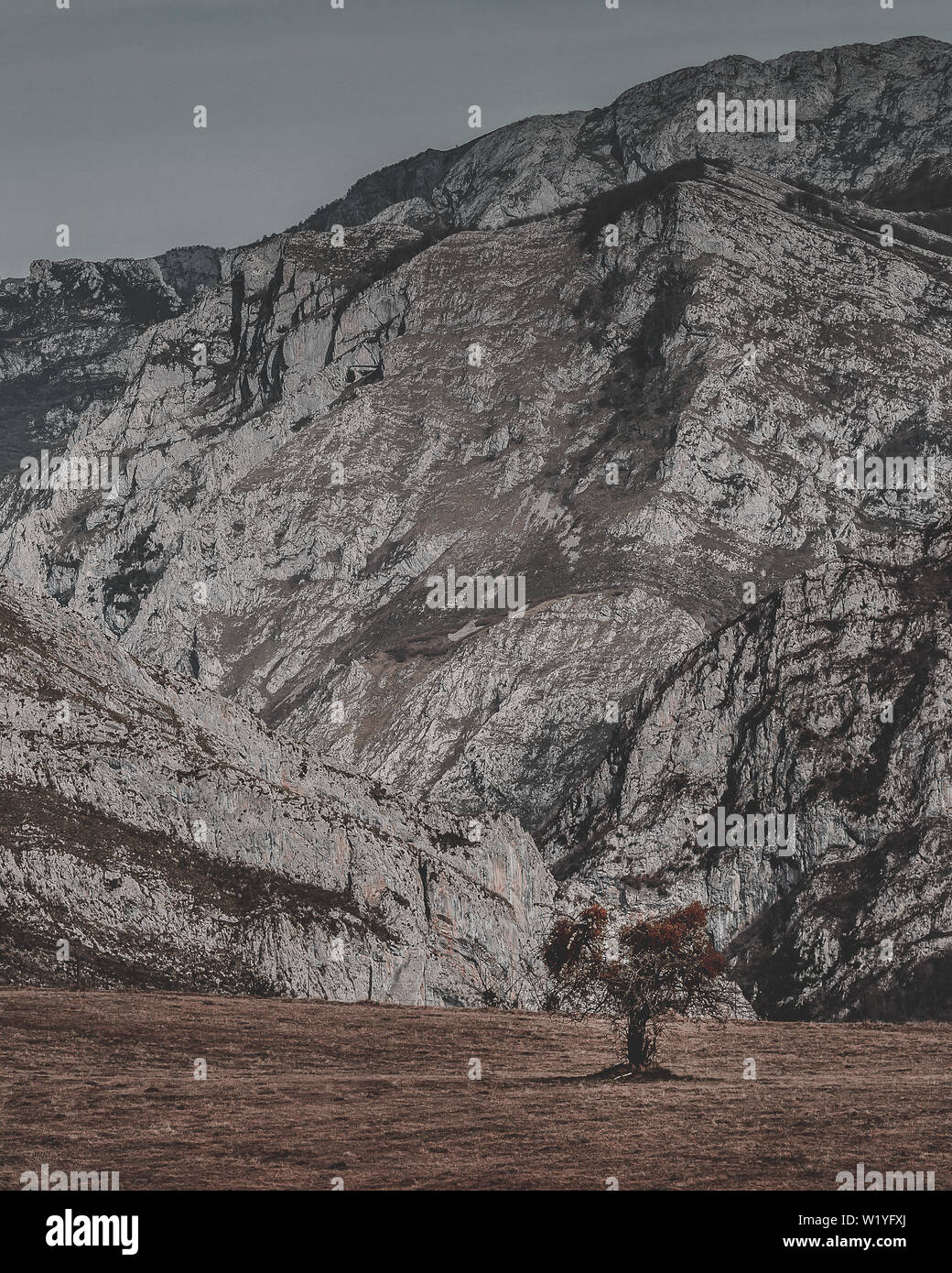 Mirador de les Bedules, Picos de Europa, Naturpark Ponga, Asturien, Spanien. Stockfoto Mirador de les Bedules, Picos de Europa, Naturpark Ponga, Asturien, Spanien. Stockfoto