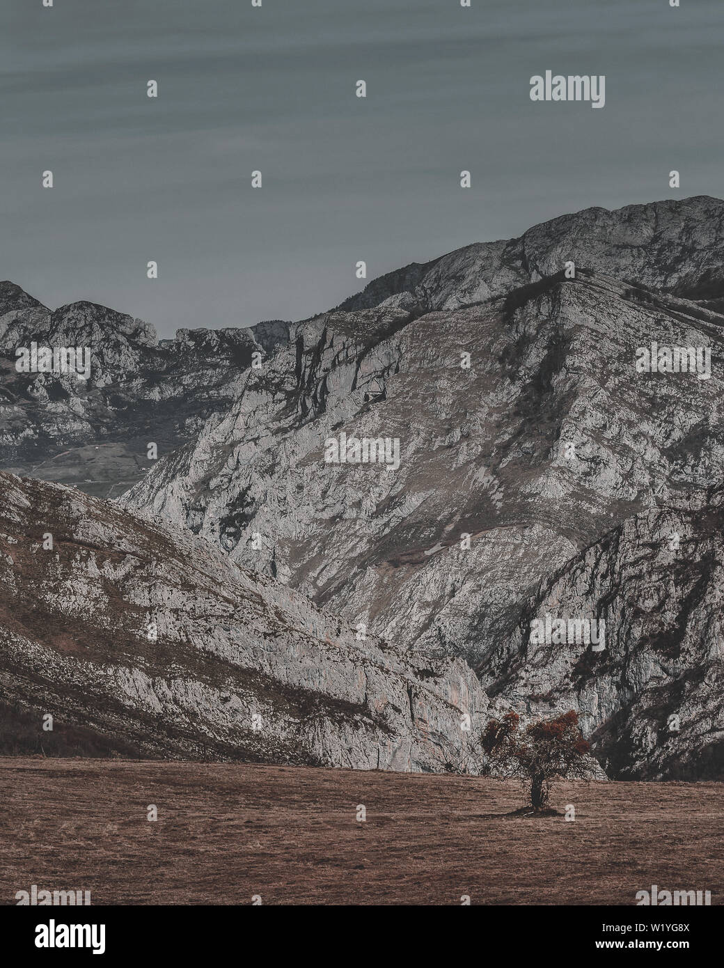 Mirador de les Bedules, Picos de Europa, Naturpark Ponga, Asturien, Spanien. Stockfoto Mirador de les Bedules, Picos de Europa, Naturpark Ponga, Asturien, Spanien. Stockfoto