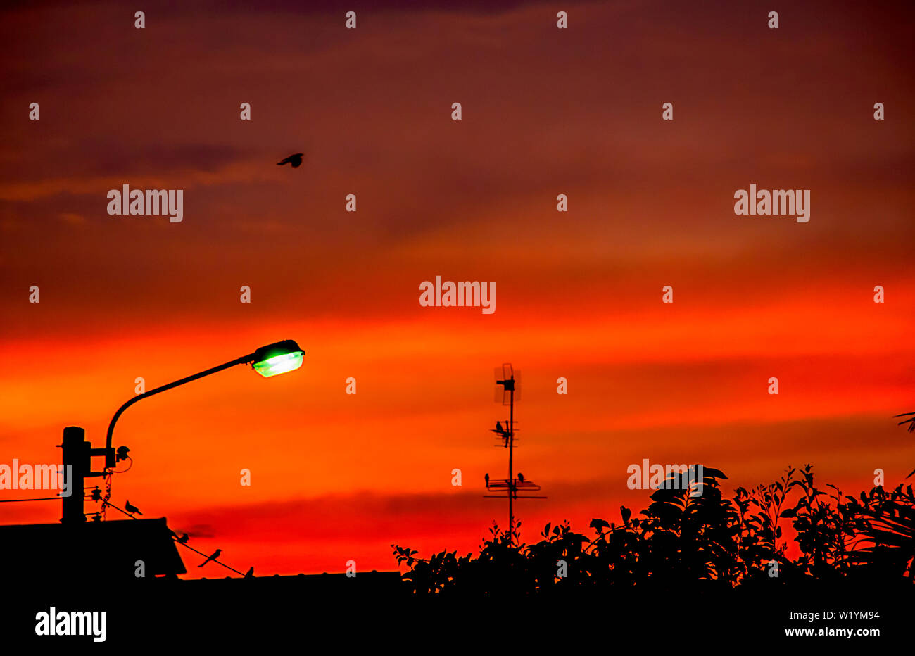 Straßenbeleuchtung und Hintergrund Abendlicht mit der Cloud wider. Stockfoto