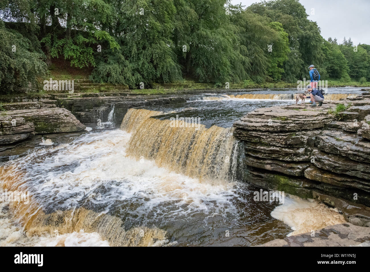 Aysgarth fällt, Aysgarth, Yorkshire Dales, England, Großbritannien Stockfoto