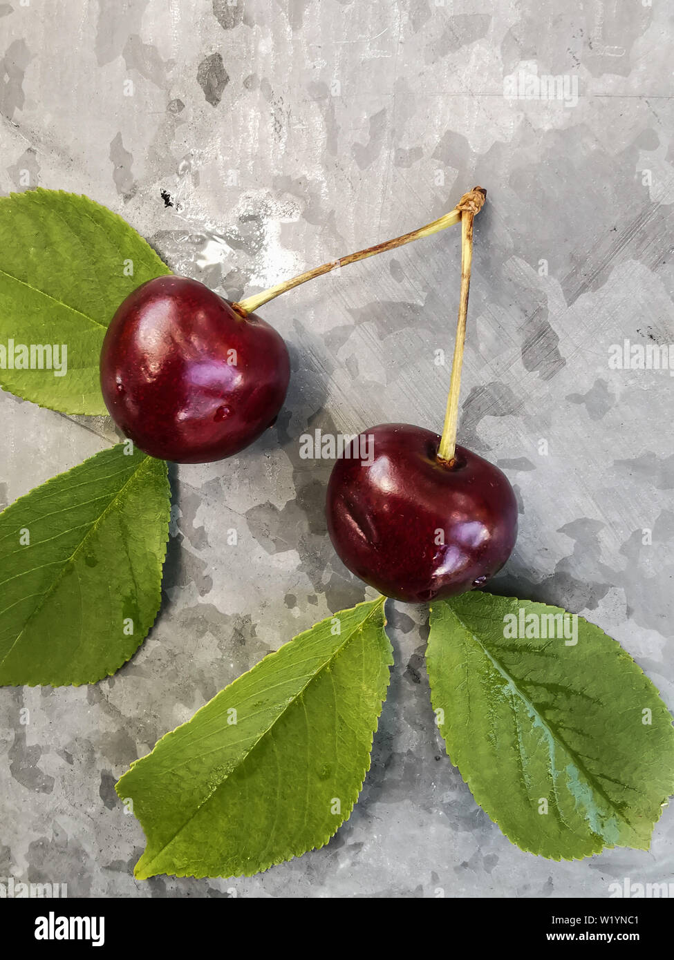 Schöne cherry auf dem Tisch und auf der Untertasse. Kirschen und Kirschkerne, Gruben auf einer Platte Stockfoto