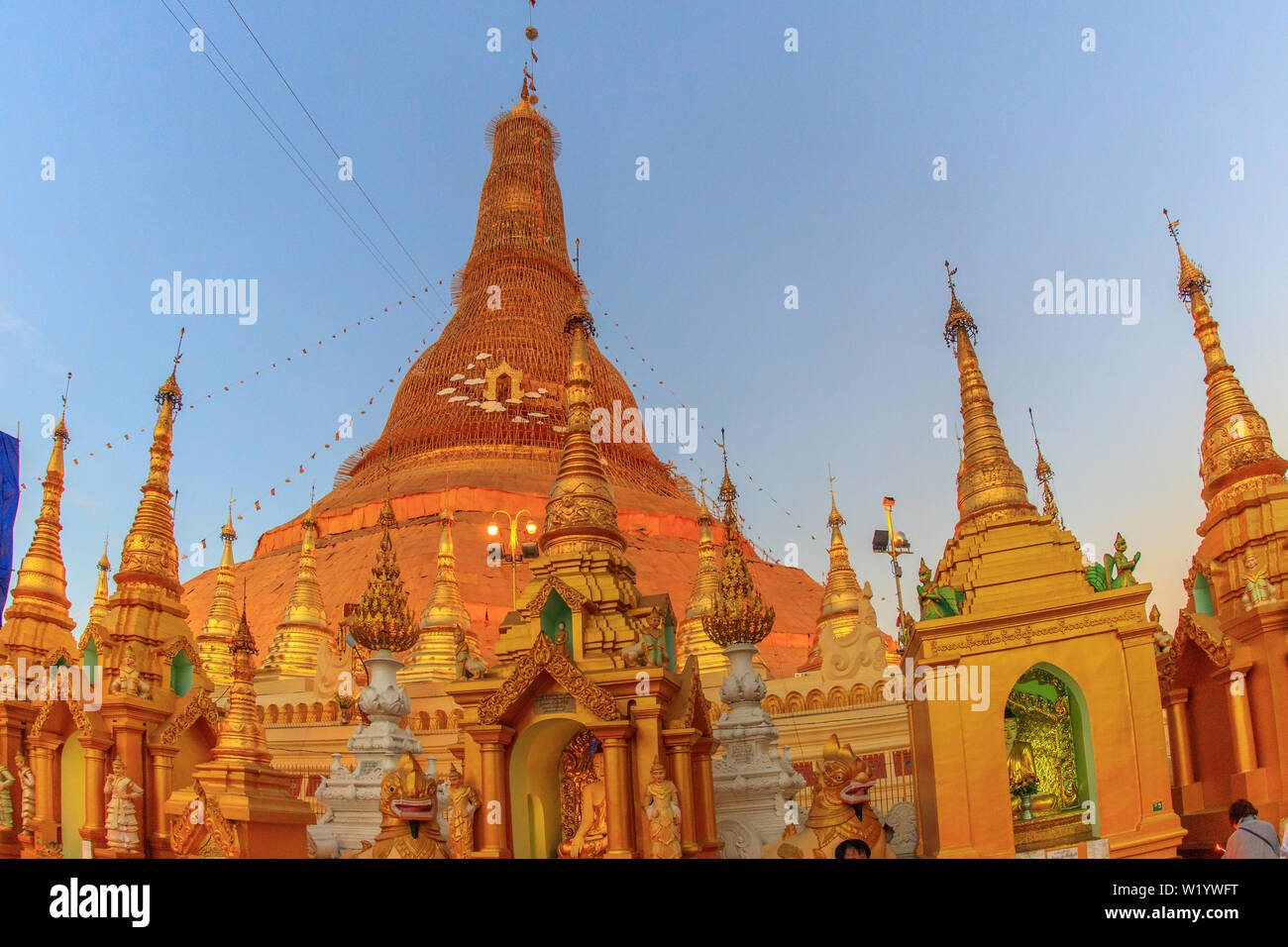 Die Shwedagon-pagode in Yangoon (Myanmar) Stockfoto