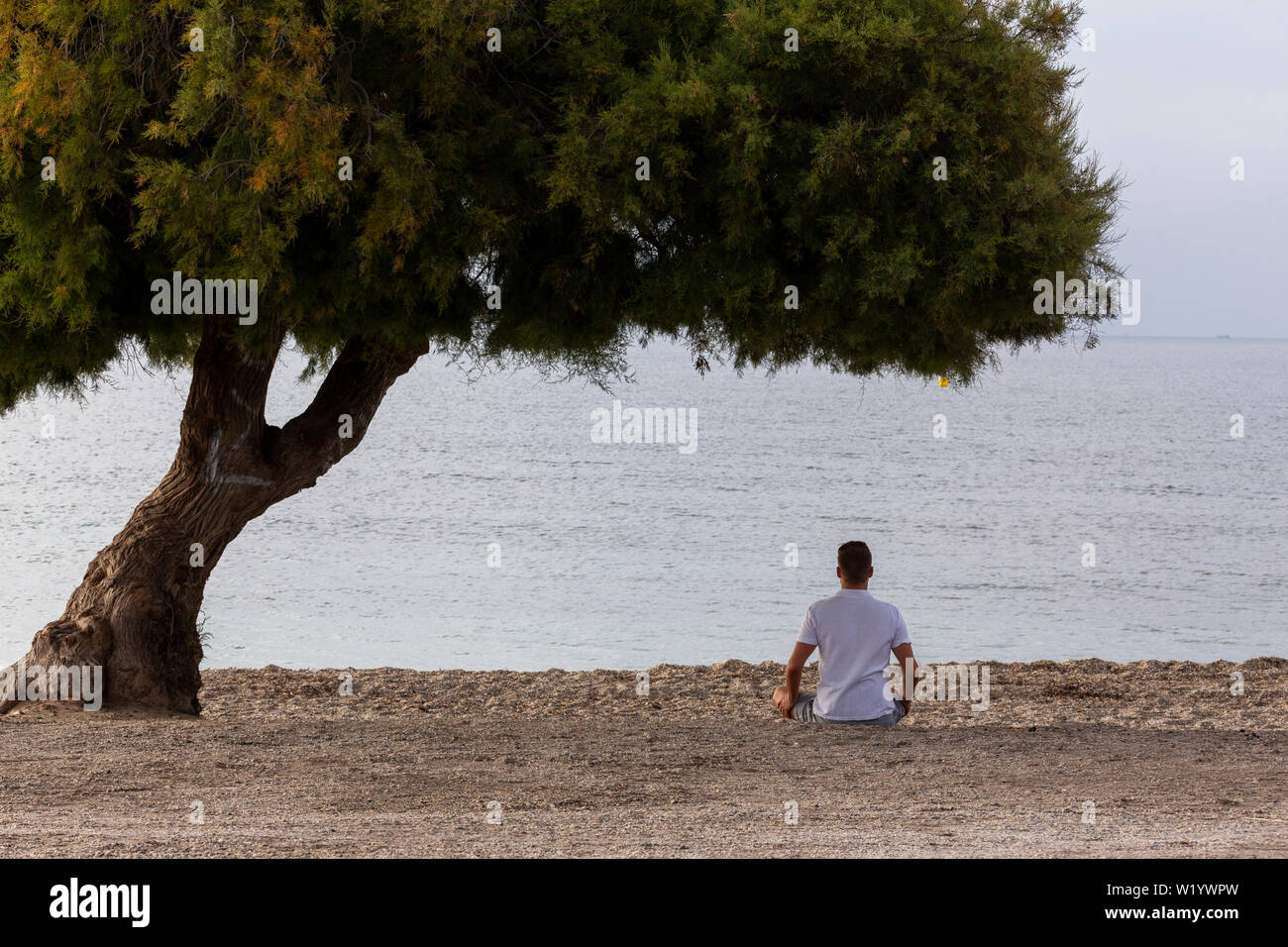 Man entspannen unter einem Baum am Strand in Spanien Stockfoto