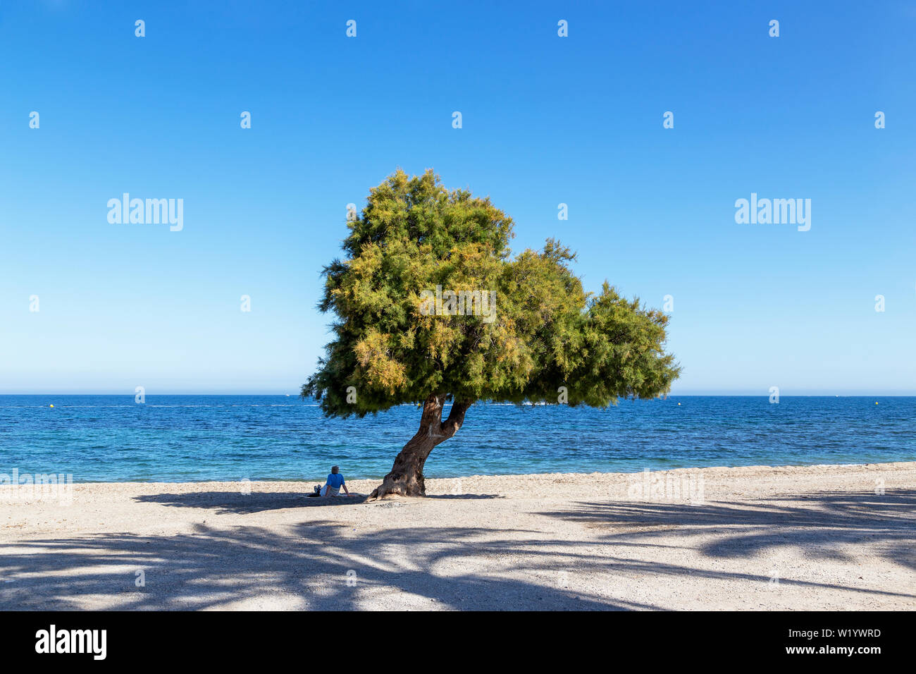Man entspannen unter einem Baum am Strand in Spanien Stockfoto